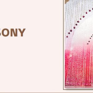 Sony Wedding Magic Photography Contest 2023