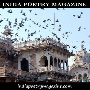 India Poetry Magazine Contest 2024