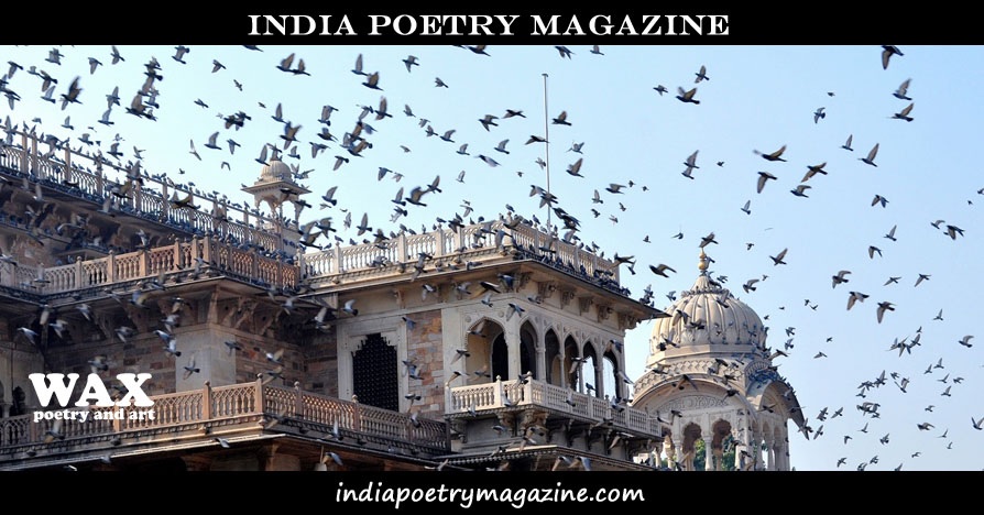 India Poetry Magazine Contest 2024