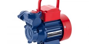 Crompton CHAMP PLUS I Residential Water Pump | 1 HP